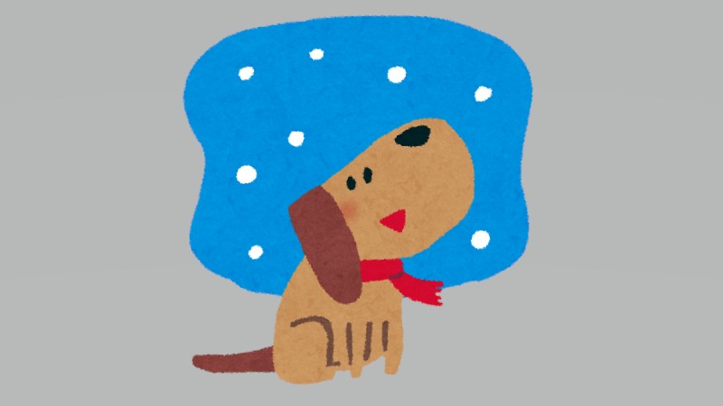 心配して探した柴犬、…