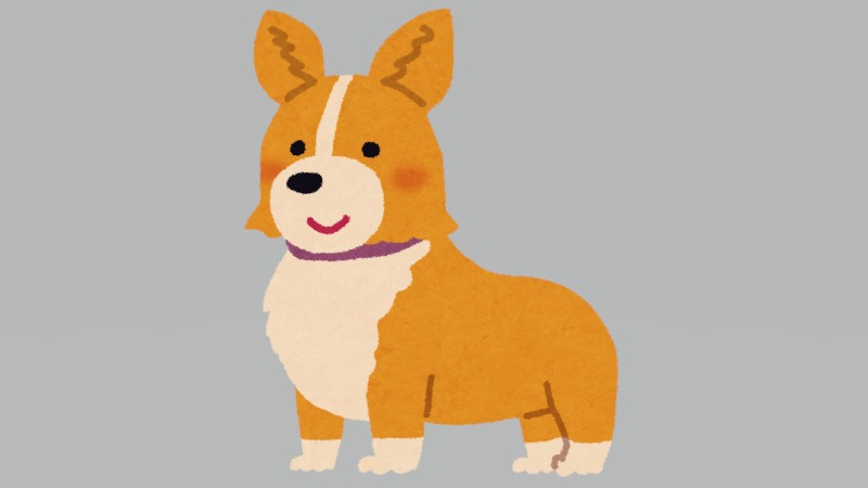 コーギー好き必見！食…