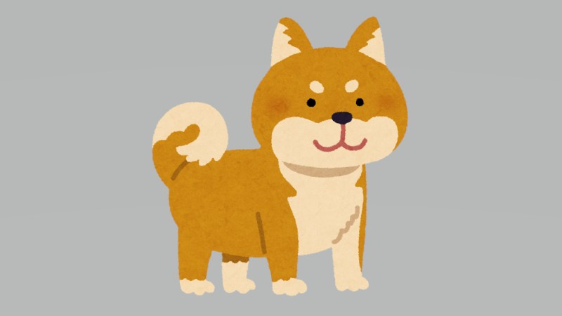 近すぎ注意。柴犬の鼻…