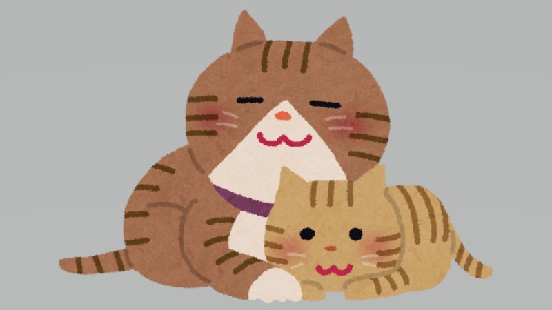 ぴょんこぴょんこ