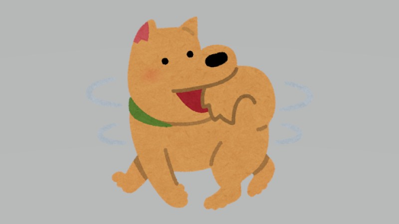 大はしゃぎの柴犬　散…