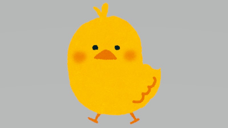 子猫、小さなヒヨコと…