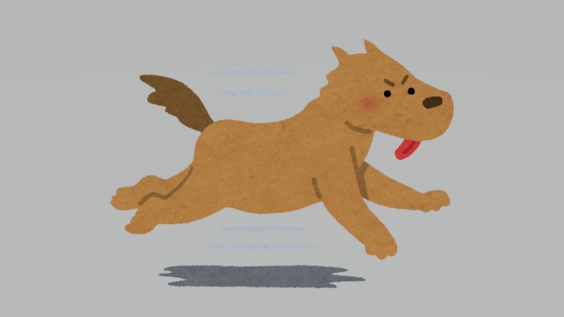 自動車と並走して走る…