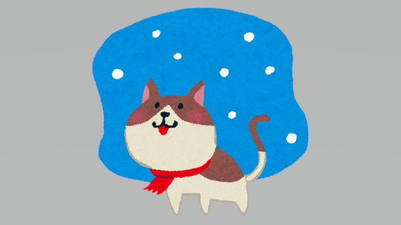 吾輩は猫です。雪が大…