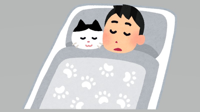 飼い主の腕枕の中で…