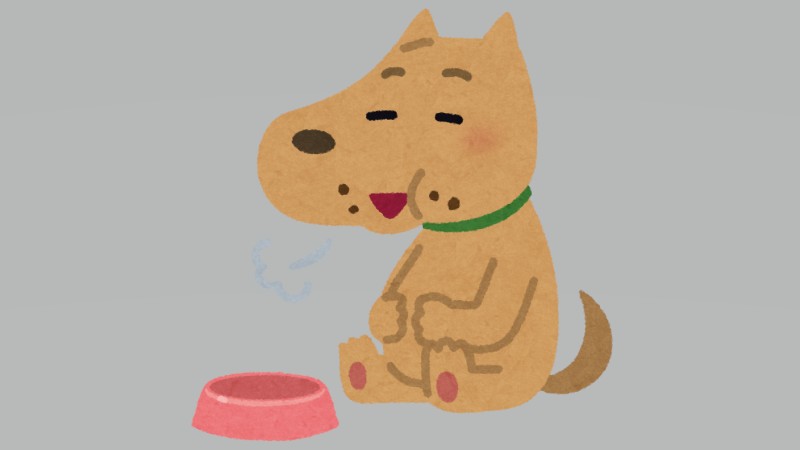 ご主人！食べさせてく…