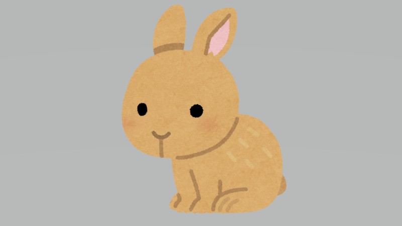 うさぎの上に…うさぎ…