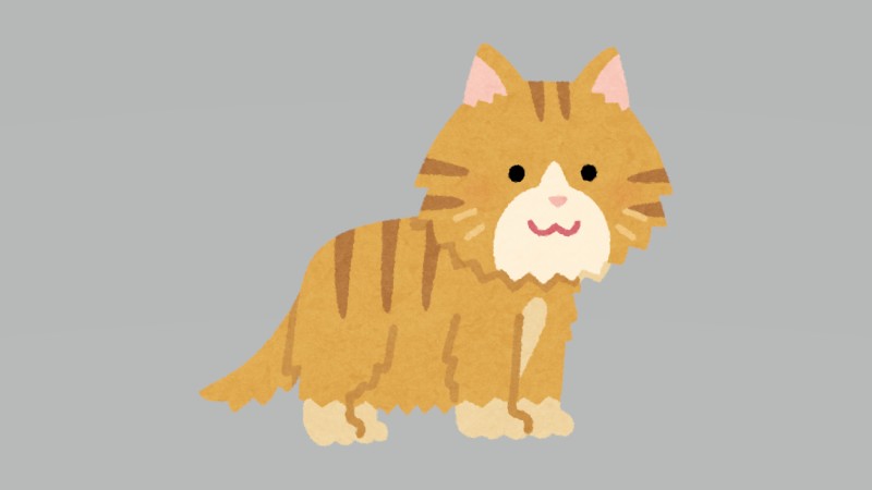 うわーん、ずん胴猫登…
