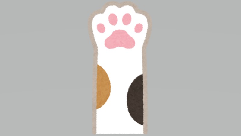 猫です…猫ですよ！？