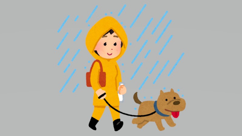 雨の日のお散歩