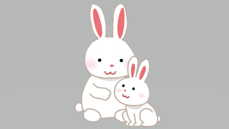 礼儀正しい子ウサギ