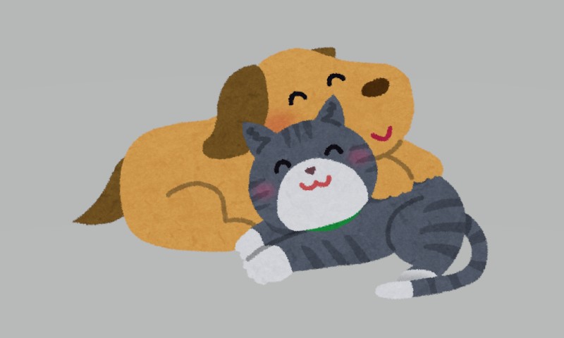 猫ちゃんを見守るわん…